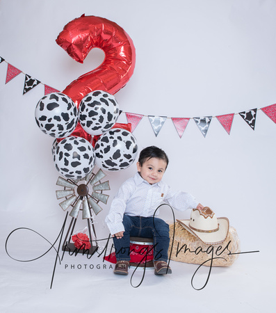 2 Year Birthday-6943-Edit