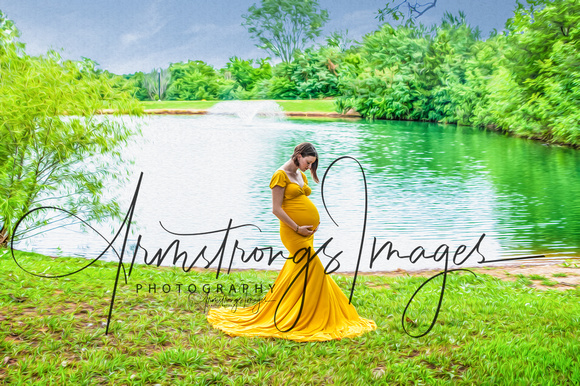 Taylor-9265 copy